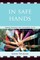 In Safe Hands