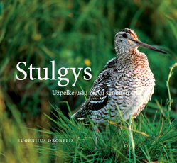 Stulgys. Užpelkėjusių pievų senbuvis