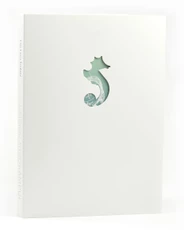 LAIŠKAI HIPOKAMPUI. Jautri žinutė ateičiai – parašyta su meile ir rūpesčiu šiam pasauliui