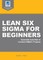 Lean Six Sigma for Beginners