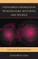 Networked Information Technologies, Elections, and Politics