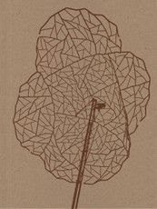 Alois Schild