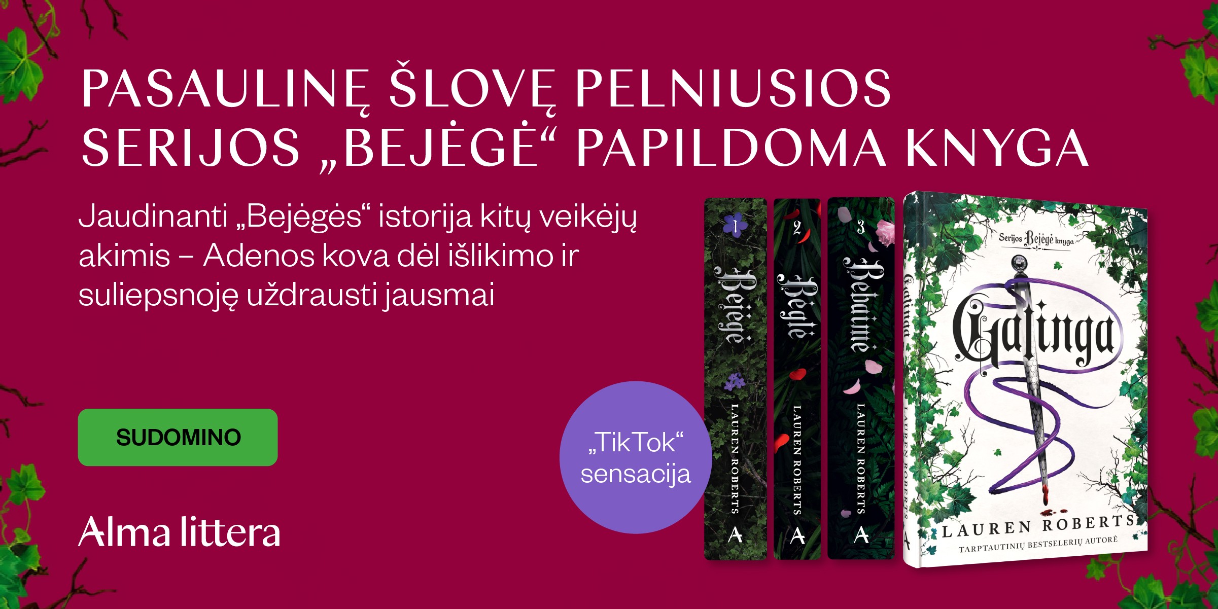 Galinga. Serijos „Bejėgė“ papildoma knyga