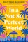 In a Not-So-Perfect World