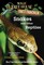 Snakes and Other Reptiles