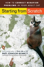 Starting from Scratch