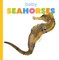 Baby Seahorses