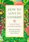 How to Love in Sanskrit