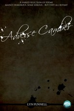 Adverse Camber