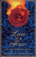 Love Is a Fire