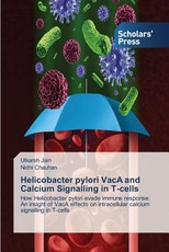 Helicobacter pylori VacA and Calcium Signalling in T-cells