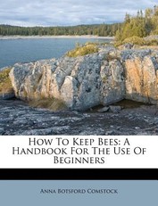 How to Keep Bees
