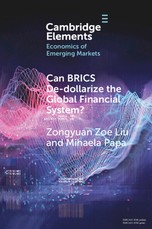 Can Brics De-Dollarize the Global Financial System?
