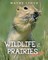 Wildlife of the Prairies for Kids