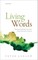 Living Words