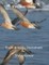 Peculiar Birds