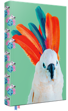 Užrašinė PAPŪGA. Itin kokybiška ir jauki užrašų knygelė su nuotaikingu viršeliu, puslapiais taškeliais ir dviem skiriamosiomis juostelėmis