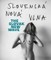 The Slovak New Wave