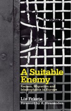 A Suitable Enemy