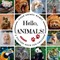 Hello, Animals!
