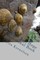 Comfort, Joy, Hope (A Devotional Book)