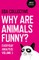 Why Are Animals Funny?