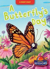 A Butterfly's Day