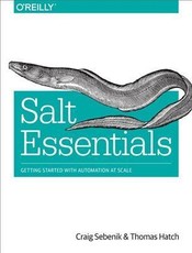 Salt Essentials