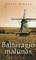 Baltaragio malūnas