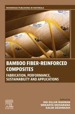Bamboo Fiber-Reinforced Composites