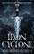 Iron Cyclone