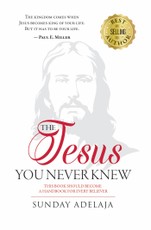 Jesus You Never Knew