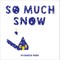 So Much Snow