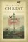 Deep-Rooted in Christ