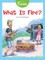 What Is Fire?