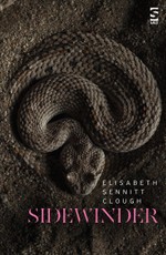 Sidewinder