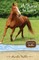 A Horse to Love