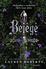 Knygos.lt blitz kaina