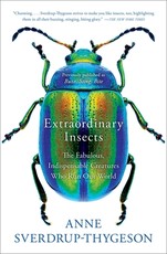 Extraordinary Insects