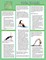 Yoga Guides