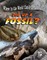 Dig Up a Fossil?
