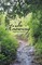 Nayar-Nambiar, D: In Knowing