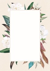 Popierius diplomams A4 170g 25l CAMELLIA