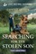 Searching for the Stolen Son