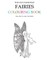 The Old Fashioned Fairies Colouring Book