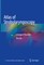 Atlas of Strobolaryngoscopy