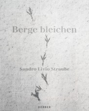 Sandro Livio Straube