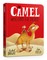 The Camel Who Had The Hump Board Book