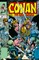 Conan the Barbarian: The Original Comics Omnibus Vol.8