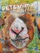 Pet and Animal Portraits in Collage
